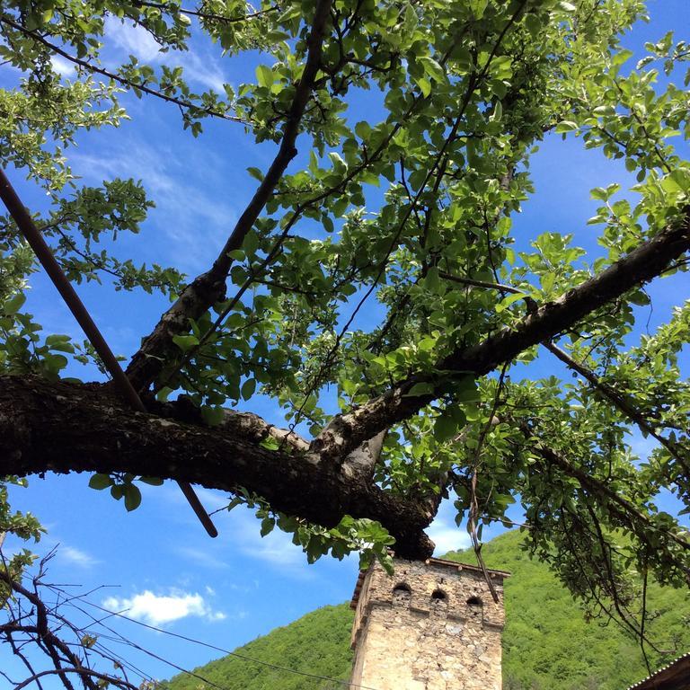 Guest House Chuta In Lagami Mestia Exterior photo